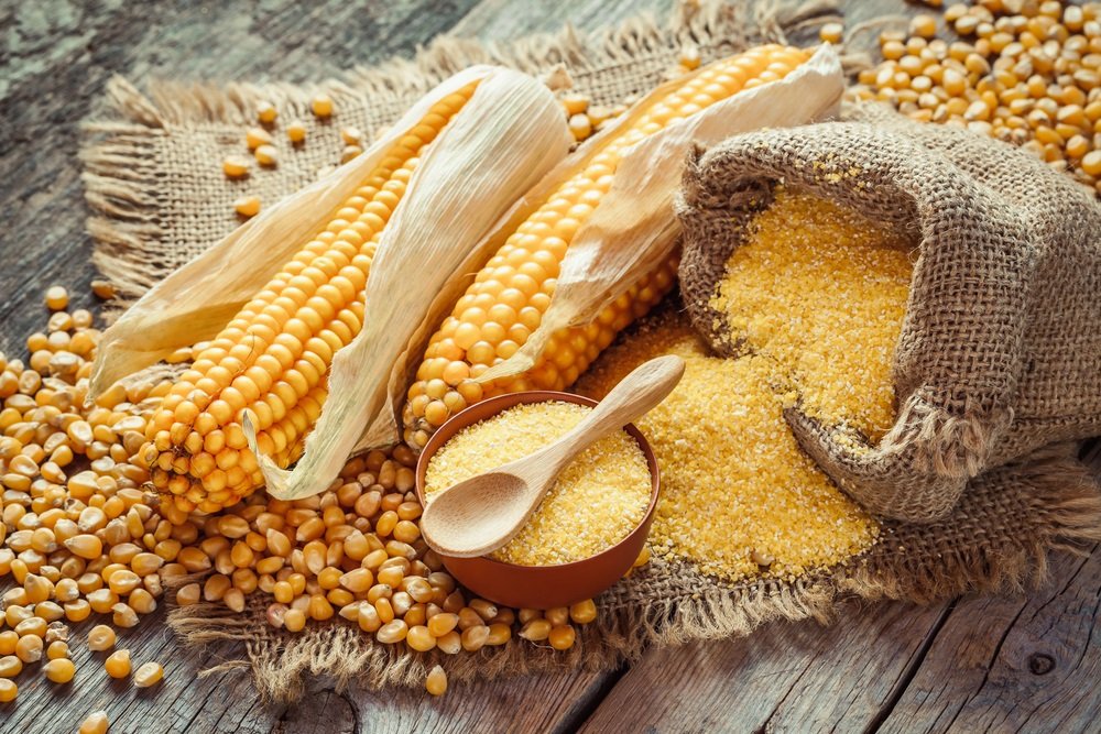 Yellow Corn Image